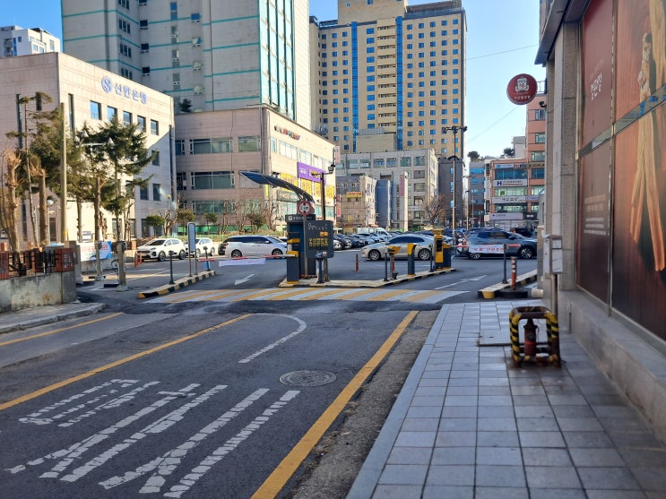  무안 손해사정사 및 손해사정인의 열정이 넘치는 설명과 상담