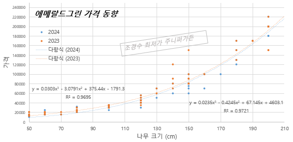  2024 조경수 가격동향 - 에메랄드그린, 문그로우, 블루엔젤