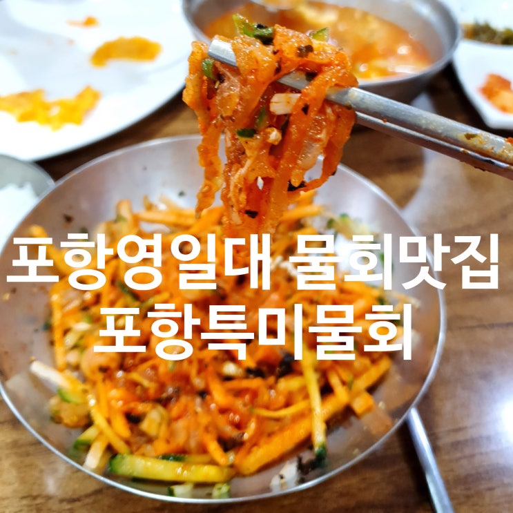  포항 영일대 포항특미물회 :: 도다리물회 추천! 물없는 포항전통물회 (ft. 수요미식회)