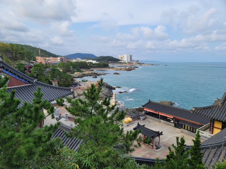  부산 여행 관광지, 해동용궁사 [코스/방생/주차장/애견동반]
