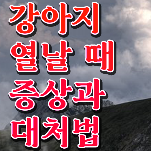  강아지열날때 대처방법 알려드립니다 !