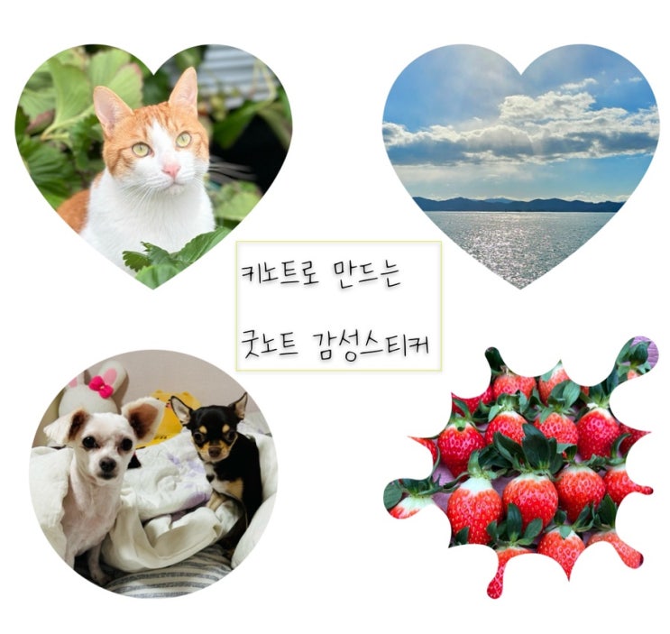 키노트 앱 이용하여 도형 모양으로 사진 깔끔하게 자르기 키노트로 만드는 굿노트 감성 스티커