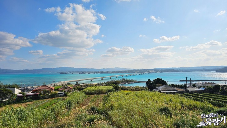 오키나와 코우리대교 뷰 카페 엘로타 환상의 코우리섬 풍경