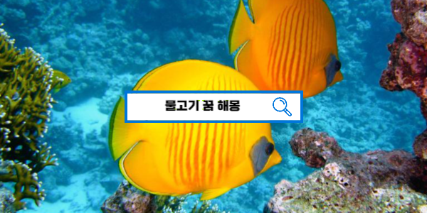  [꿈풀이해몽] 물고기꿈해몽 큰물고기꿈 검은물고기꿈 금붕어꿈