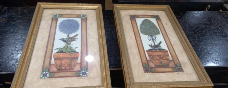  "古傳美  소생의 상징 선인장 그림 3점 꽃이름이 선인장인지 정확하진 않아요 감안해서 보시면됩니다" 미술품 그림판매/ 반려동물해외운송