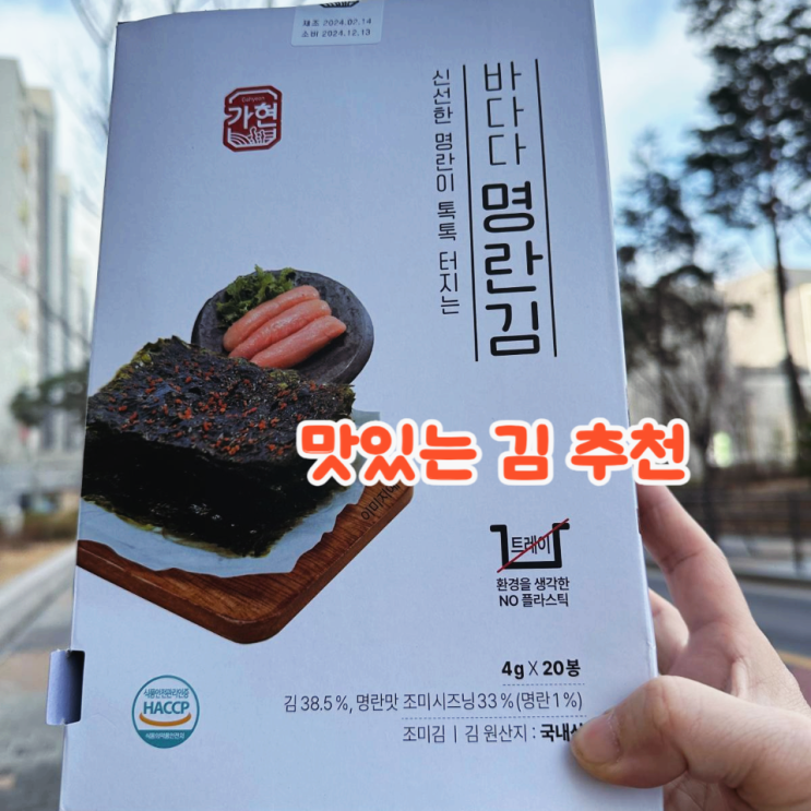  바다다 명란김의 매력 엄마 입맛 저격에 성공한 원초가 맛있는 김