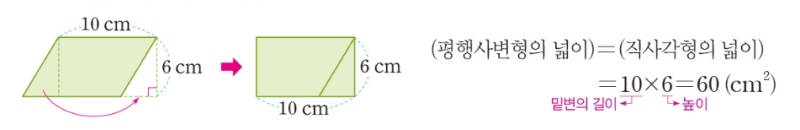 5학년 1학기 다각형의 둘레와 넓이 (정사각형, 직사각형, 평행사변형, 삼각형, 마름모, 사다리꼴의 둘레와 넓이 구하는 공식 ...