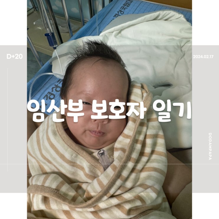 2024.02.17 임산부 보호자 일기 D+20일 2024.02.17 임산부 보호자 일기 D+20일