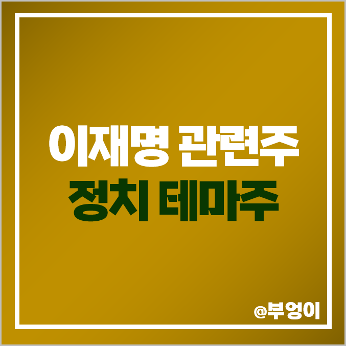이재명 관련주 정치 테마주 대장주 동신건설 주식 보라티알 주가 이재명 관련주 정치 테마주 대장주 동신건설 주식 보라티알 주가