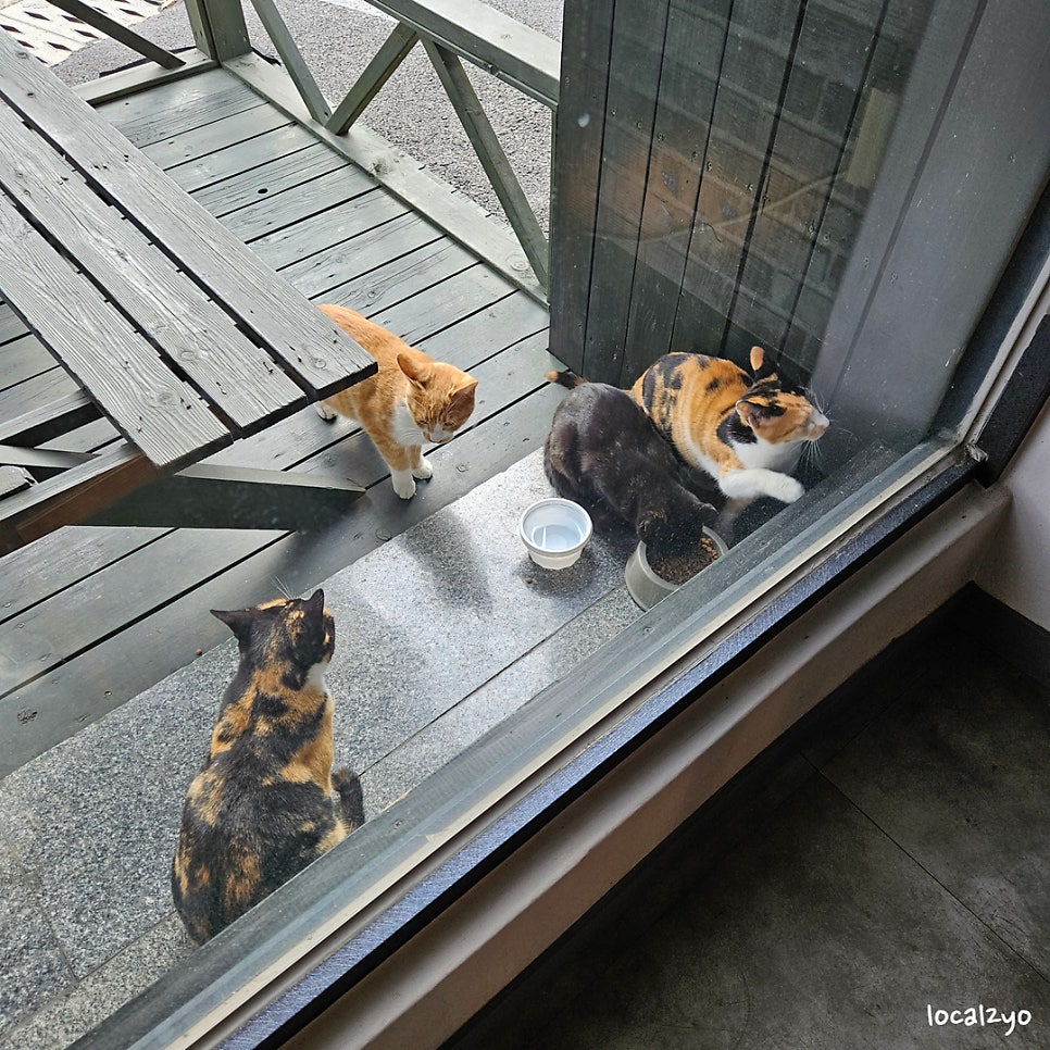 쉴만한물가 사진 4