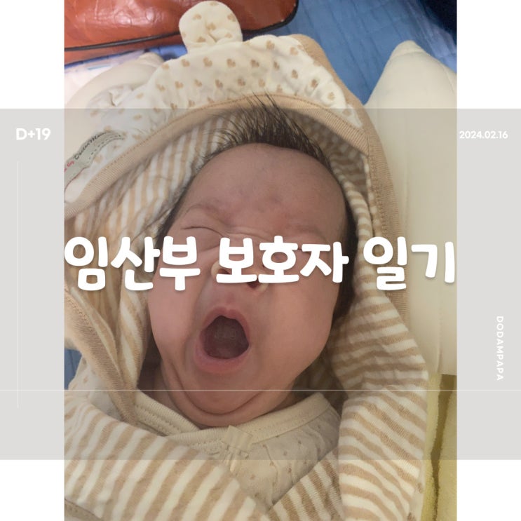 2024.02.16 임산부 보호자 일기 D+19일 2024.02.16 임산부 보호자 일기 D+19일
