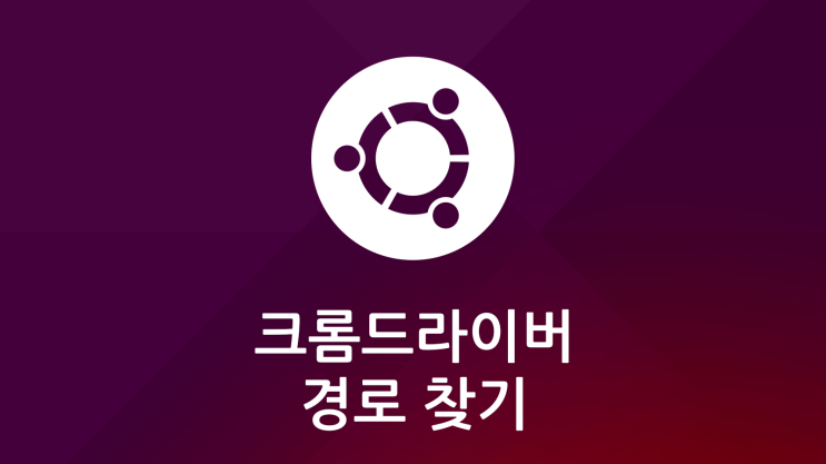  Ubuntu에서 Chrome webdriver 경로 찾기