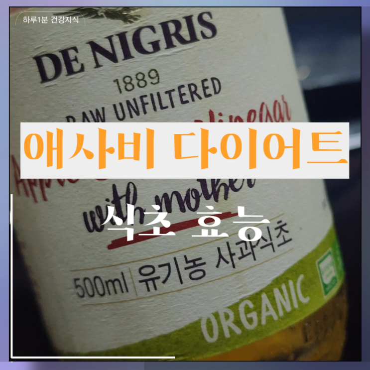  애사비 다이어트 식초 효능 먹는법 시간
