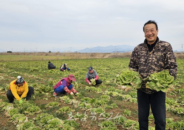  전남도 2월 친환경농산물 해남 유기농 봄동배추 선정
