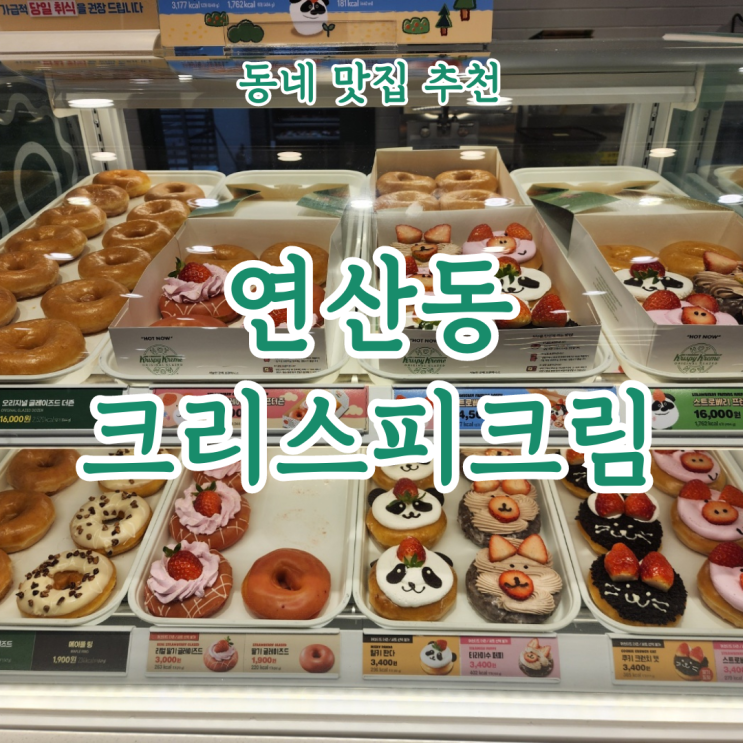 도넛이 먹고싶을 때, 연산동 크리스피크림도넛 도넛극장 매장 구경 리뷰