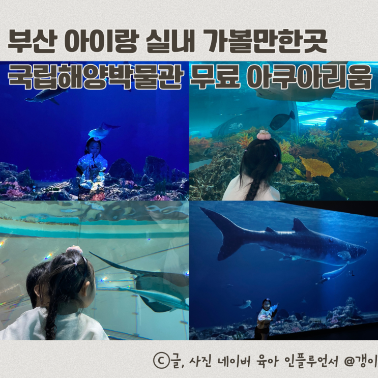  부산 아이와 실내 가볼만한곳 영도 국립해양박물관 아쿠아리움