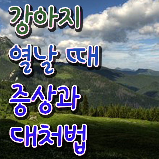  강아지 열날때 증상 대처방법 정리해봤어요 ~