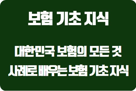  보험의 모든 것: 대한민국 사례로 배우는 보험 기초 지식