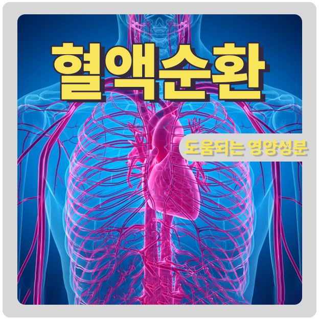  손 발저림 혈액순환 개선 영양성분들