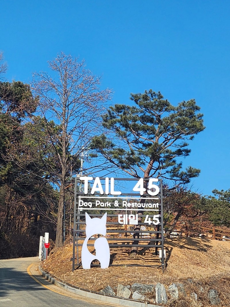사진 2
