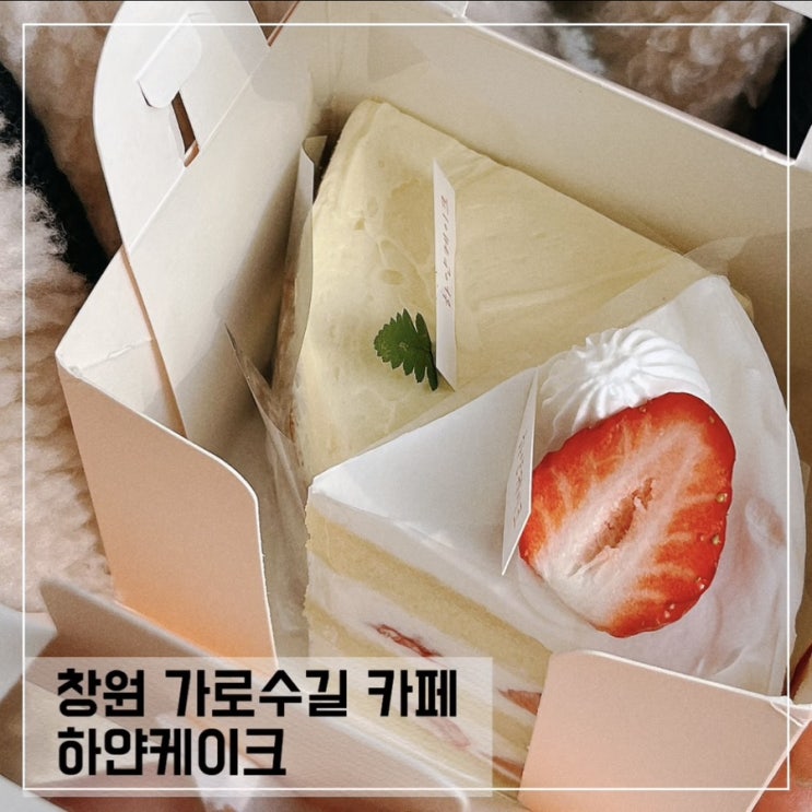  창원 가로수길 케이크맛집 하얀케이크