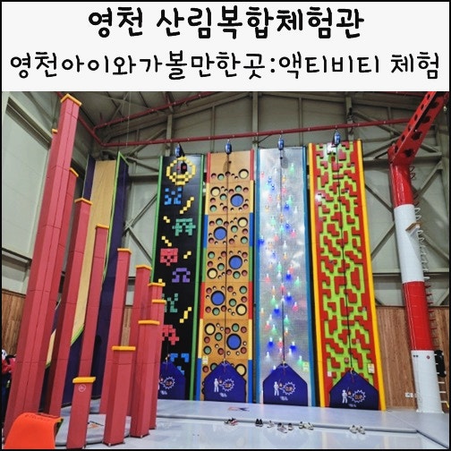  영천 아이와 가볼만한 곳 보현산자연휴양림 산림복합체험관 예약방법