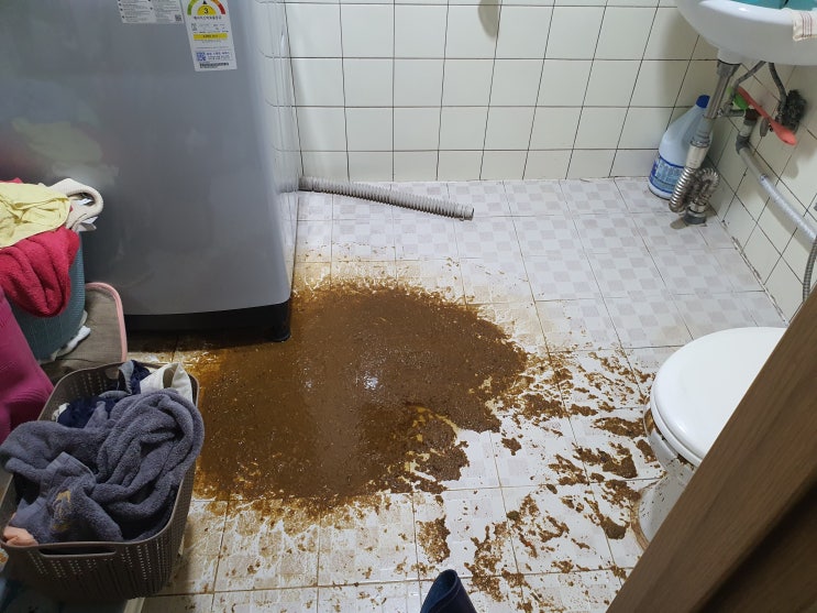  변기 안써도 대변 역류 화장실 바닥 똥물 넘치는 현상 누구 잘못? 서울 인천