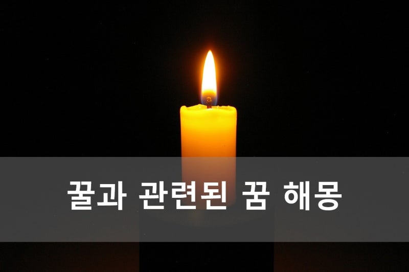 꿀과 관련된 꿈 해몽