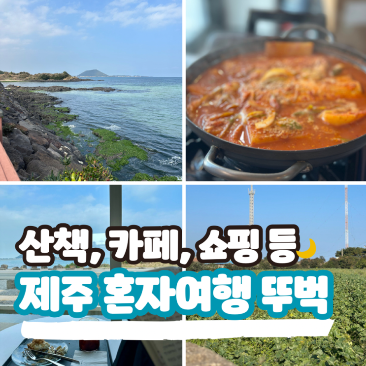 제주도 혼자여행 뚜벅이 코스 - 마지막날 총정리!