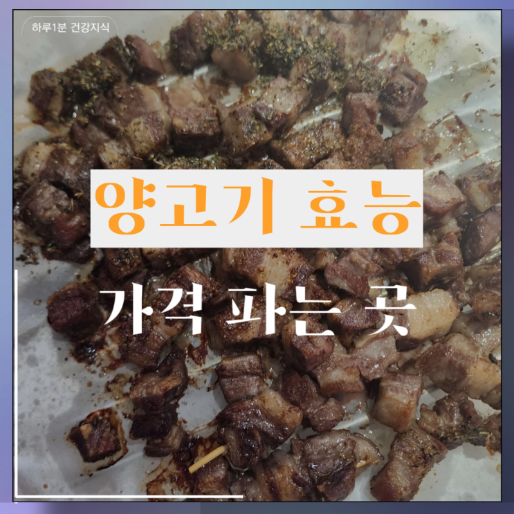 양고기 효능 가격 파는 곳