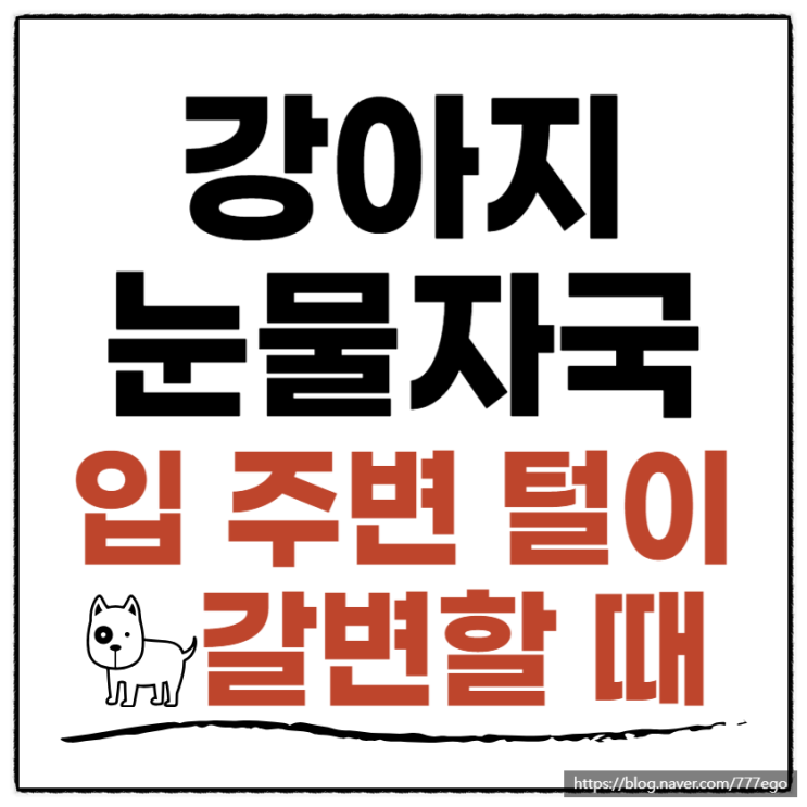  강아지 입 주변 털이 갈색으로 변하고 있다면 00해보세요(리브펫아이즈)