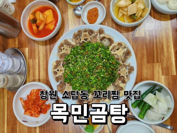 [경남 창원] 소답동 꼬리찜 맛집 목민곰탕