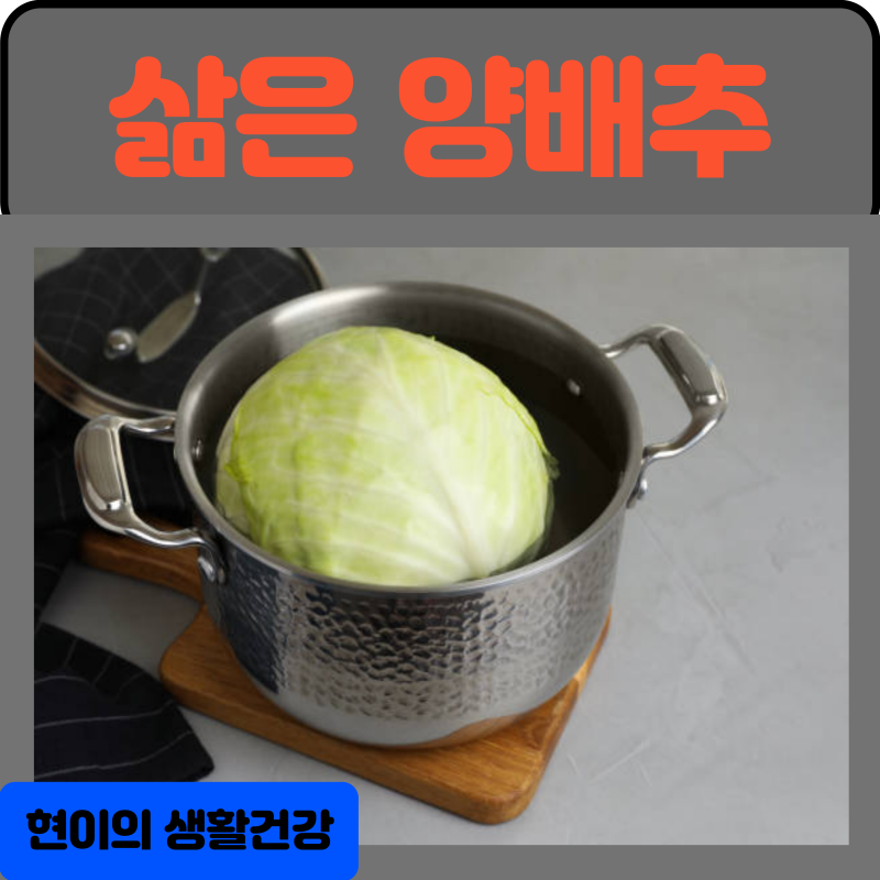 삶은 양배추 효능 부작용 : 한통 칼로리