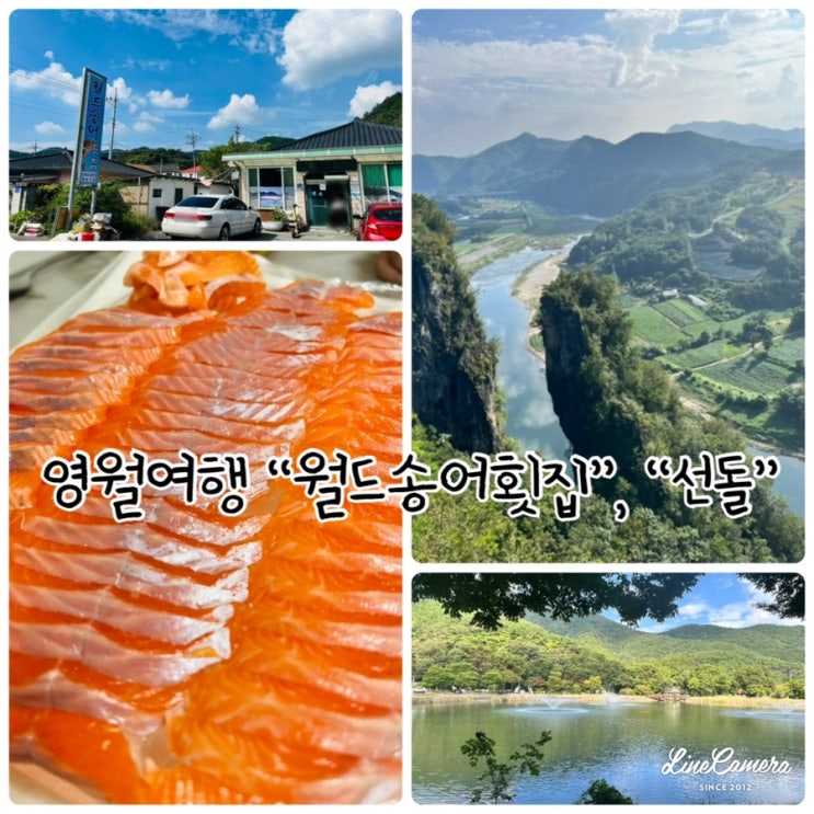  22년도 영월 당일치기 여행, 혼자 여행으로 부담이 없는 “월드송어횟집”과 한반도지형 “선돌”