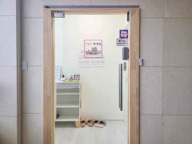 사진 6