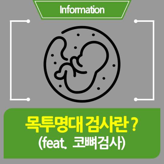  [임신정보] 목투명대(목덜미투명대/NT)및 코뼈로 보는 태아 건강상태