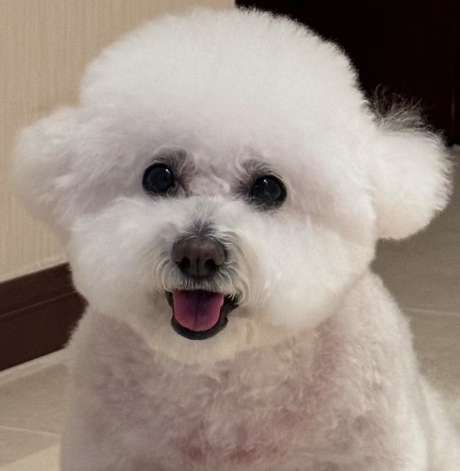 사진 3