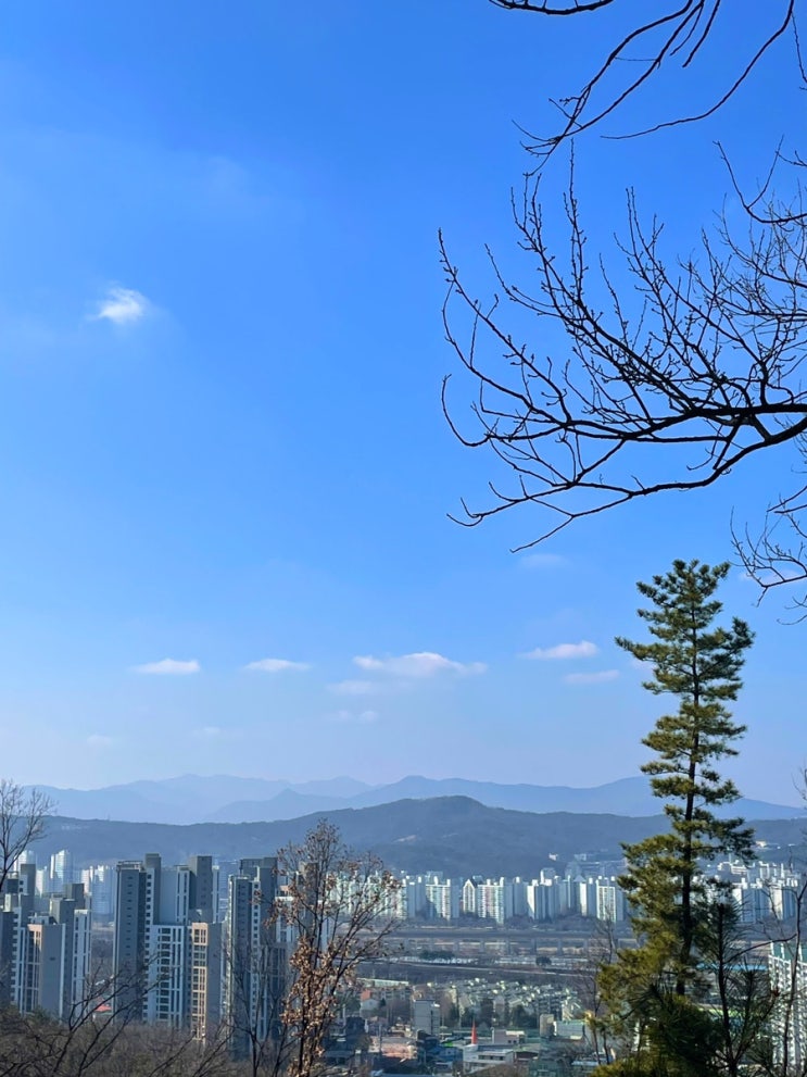  솔향 솔솔