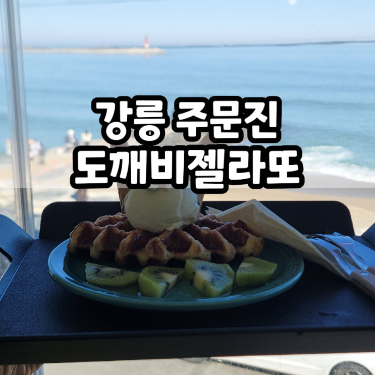  강릉 반려동물 동반 가능한 젤라또 맛집
