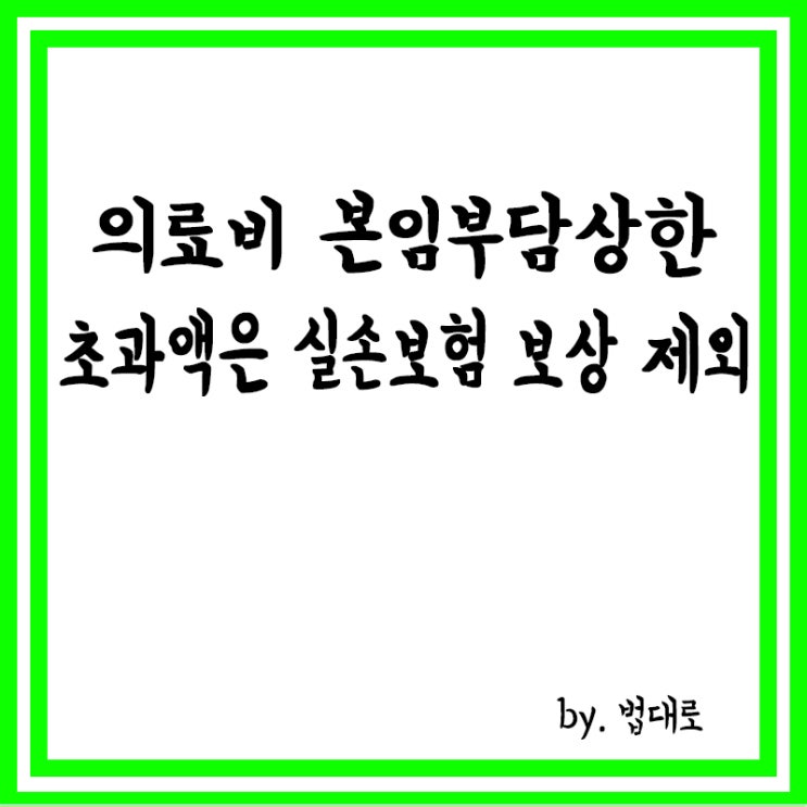  대법 “의료비 본인부담상한 초과액은 실손보험 보상 제외”