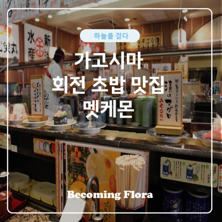  가고시마 회전 초밥 맛집 멧케몬 돌핀 포트점