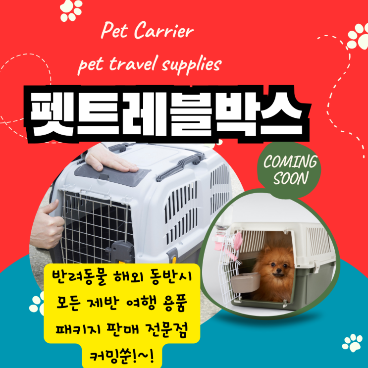  강아지해외여행 고양이해외여행 반려동물해외여행 대형견해외여행  [용품전문 펫트레블박스 런칭예고]