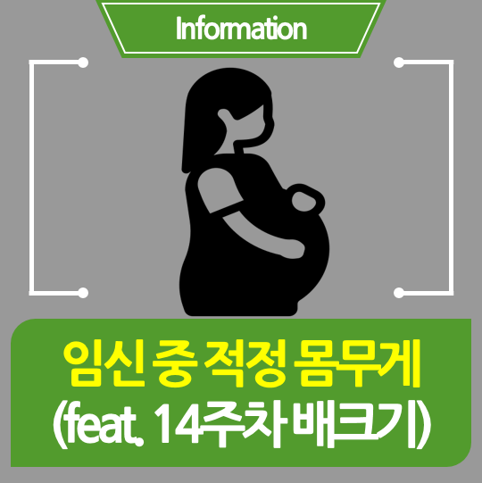  [임신정보] 임산부 적정 몸무게 계산법(어플) 및 14주차 배크기