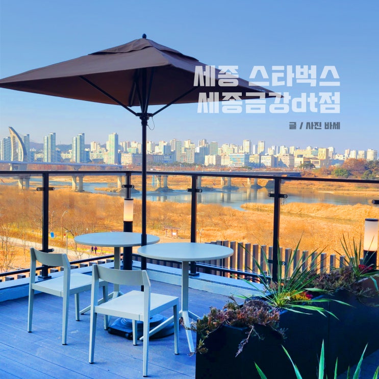  세종 대평동 스타벅스 세종금강DT점 봄나들이