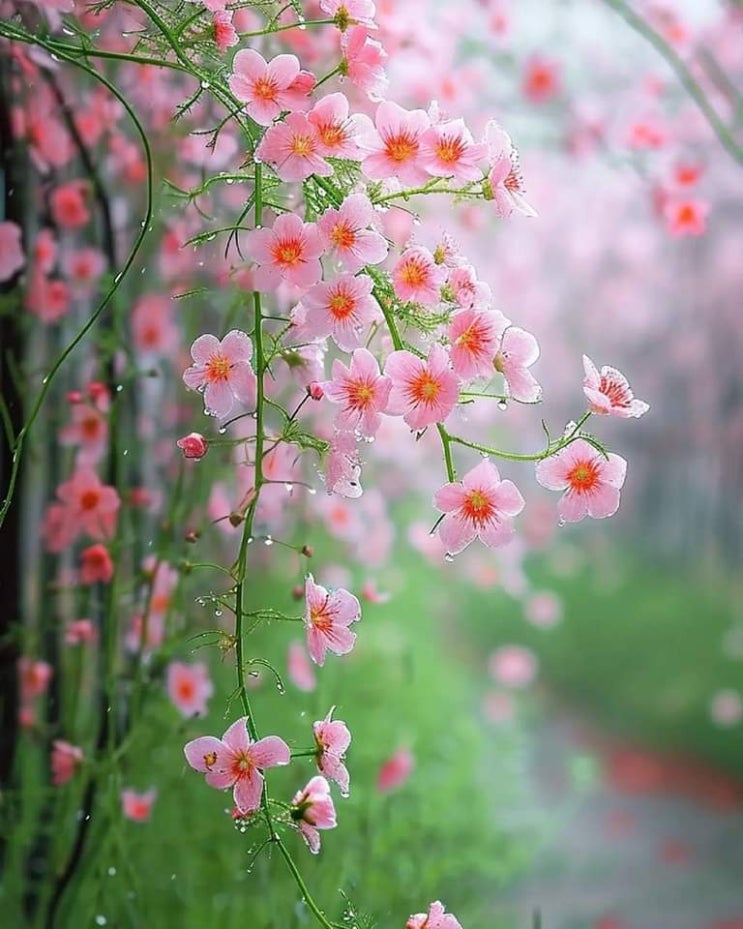   오늘의 생활정보 (2024-02-18, 일)