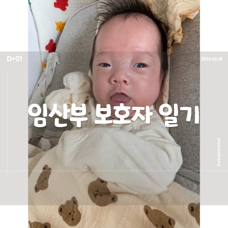 2024.02.18 임산부 보호자 일기 D+21일 2024.02.18 임산부 보호자 일기 D+21일