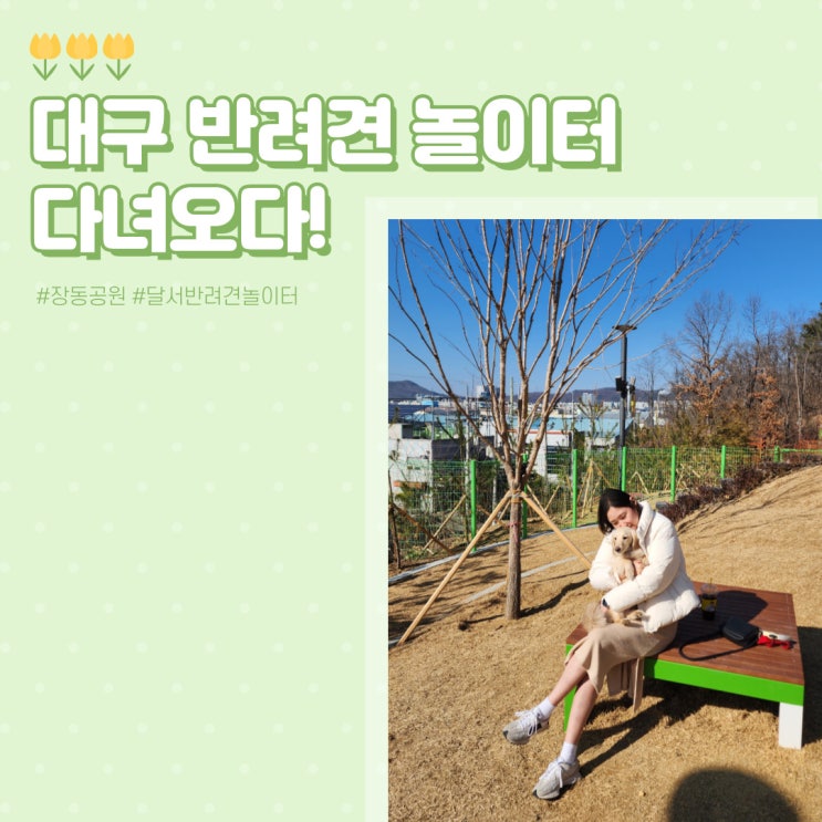  대구 첫 반려견 놀이터 '장동공원' 다녀오다