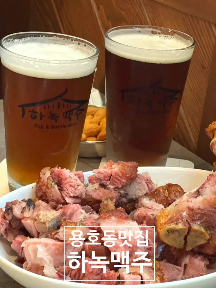  [부산] 용호동맛집 하녹맥주에서 수제맥주의 맛을 찾다