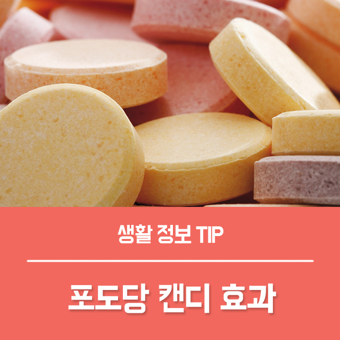  포도당 캔디 효과 TOP4, 포도당캔디 부작용 발포 포도당 수액 가루 먹는법 총정리!