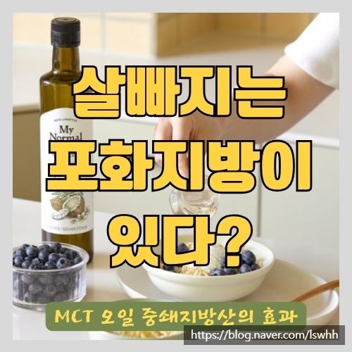 살빠지는 포화지방 중쇄지방산 - 저탄고지 필수품 MCT 오일의 효능과 부작용 고르는 법 (다이어트, 운동, 간헐적 단식)